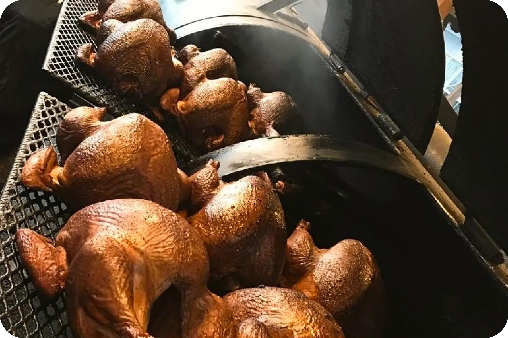 Hot and Ready Turkeys
